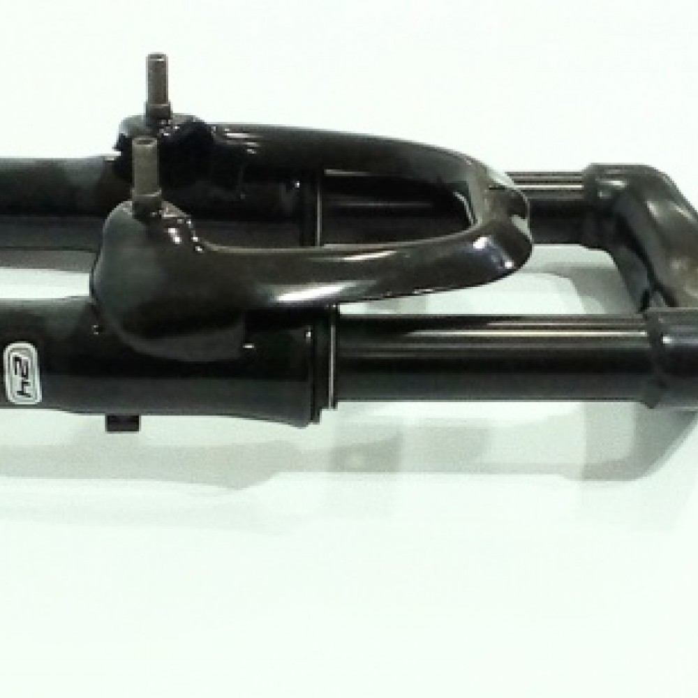 horquilla-con-suspension-r24-solo-disco-oversize-srosca-fast