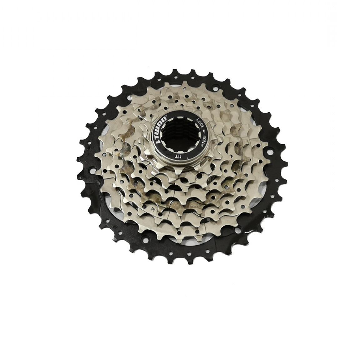 pinon-ltwoo-cs-a3-1134-8v