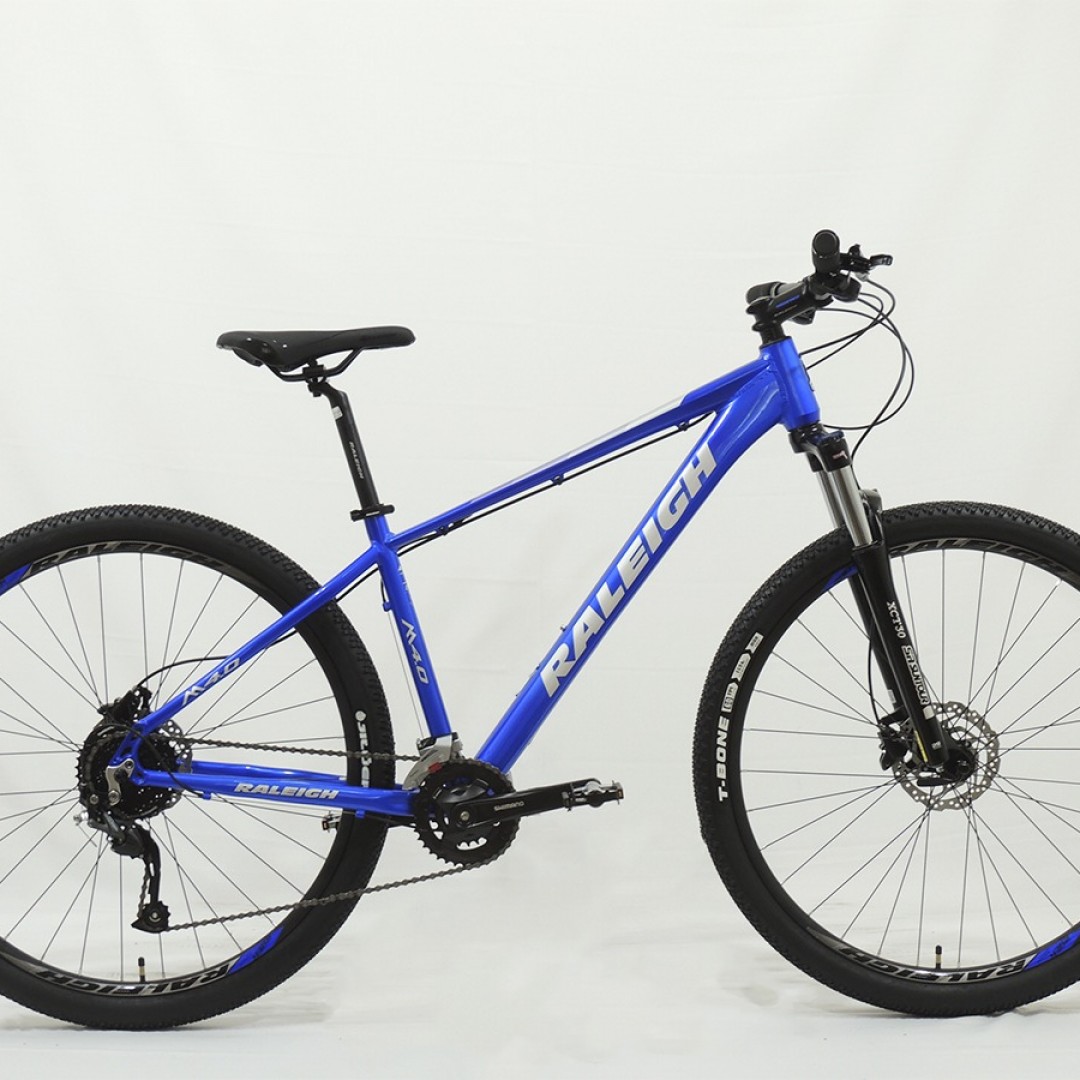 raleigh-40-r29-17-gris-con-azul-2026