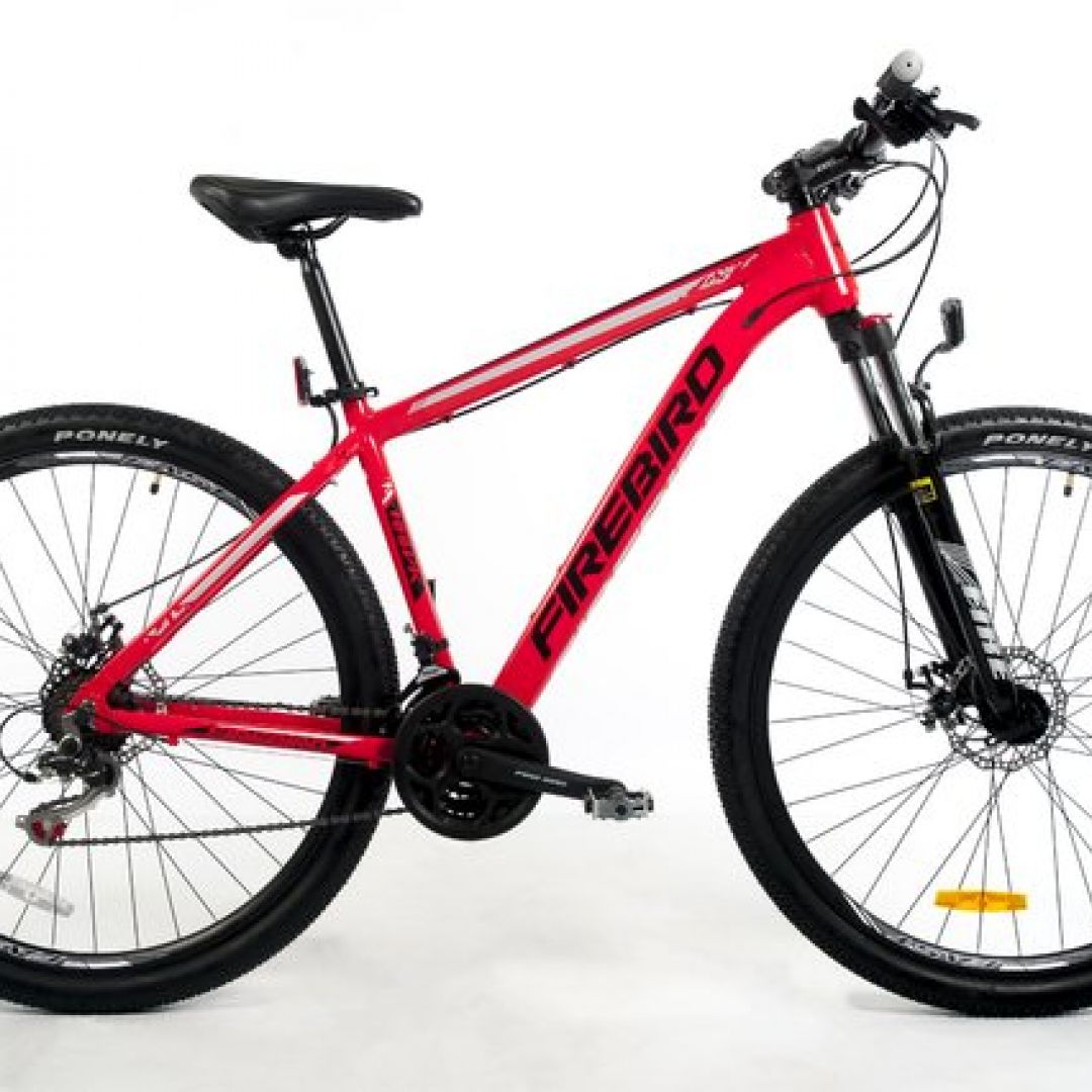 bicicleta-r29-mtb-talle-18-21v-disco-aluminio-firebird