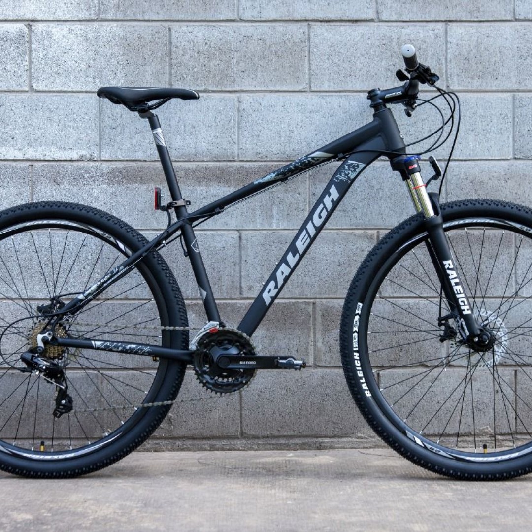 raleigh-20-r29-21-gris-con-negro-2026