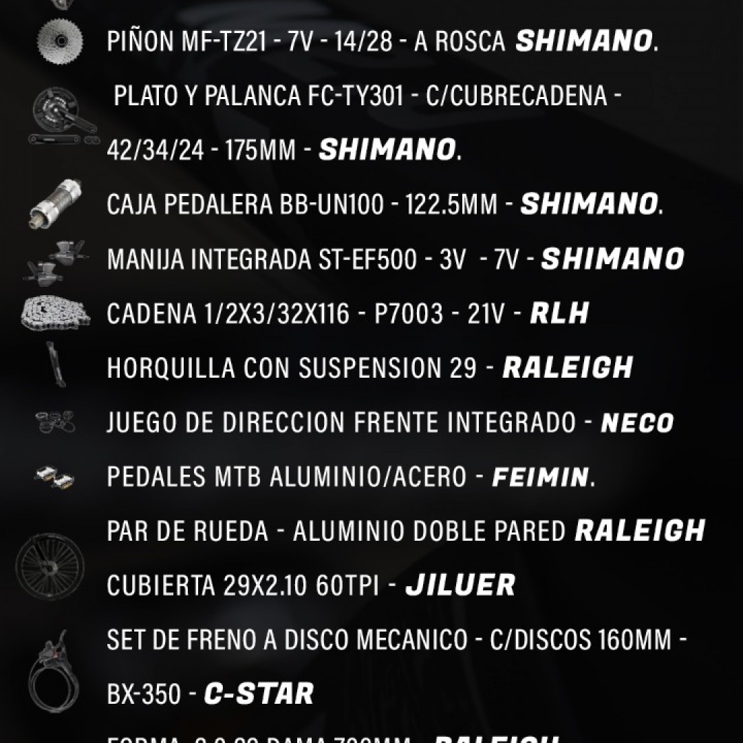 raleigh-20-dama-r29-15-negra-con-verde-agua-2026