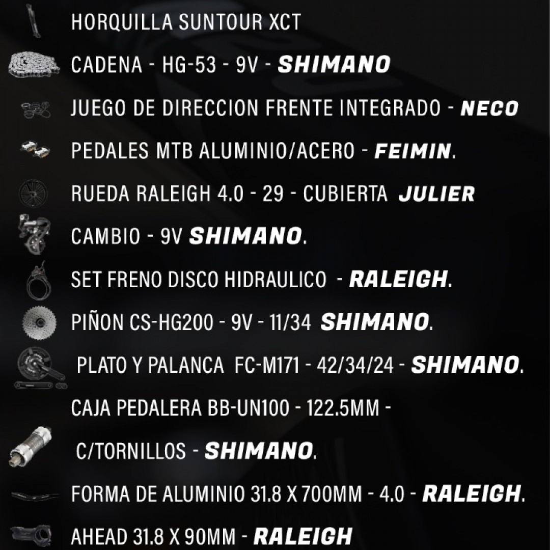 raleigh-40-r29-19-negro-con-verde-2026