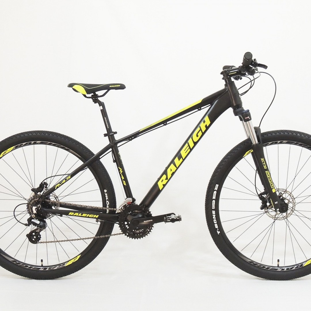 raleigh-45-r29-21-gris-con-negro-2026