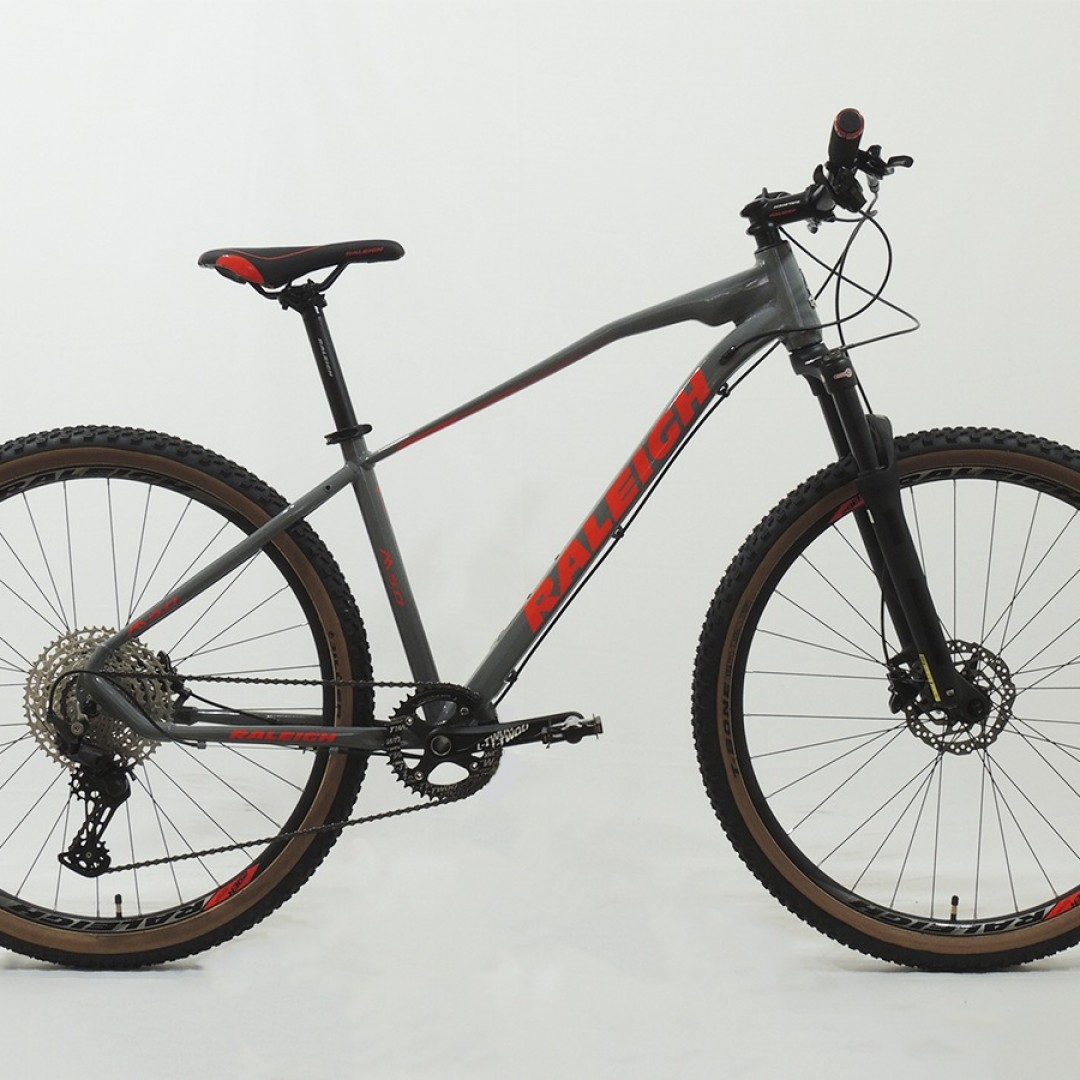 raleigh-50-r29-17-gris-con-azul-2026