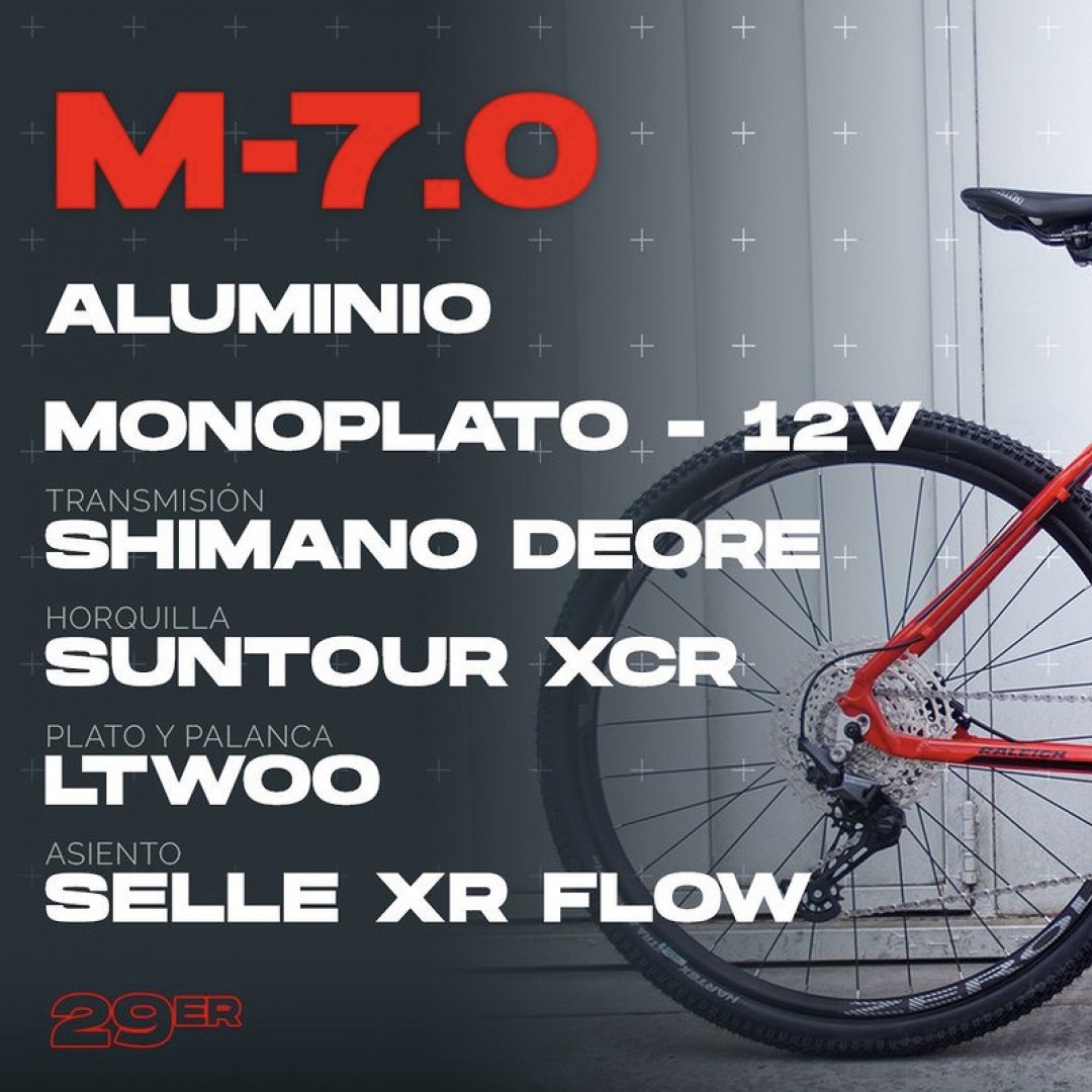 raleigh-70-r29-21-negro-con-gris-2026