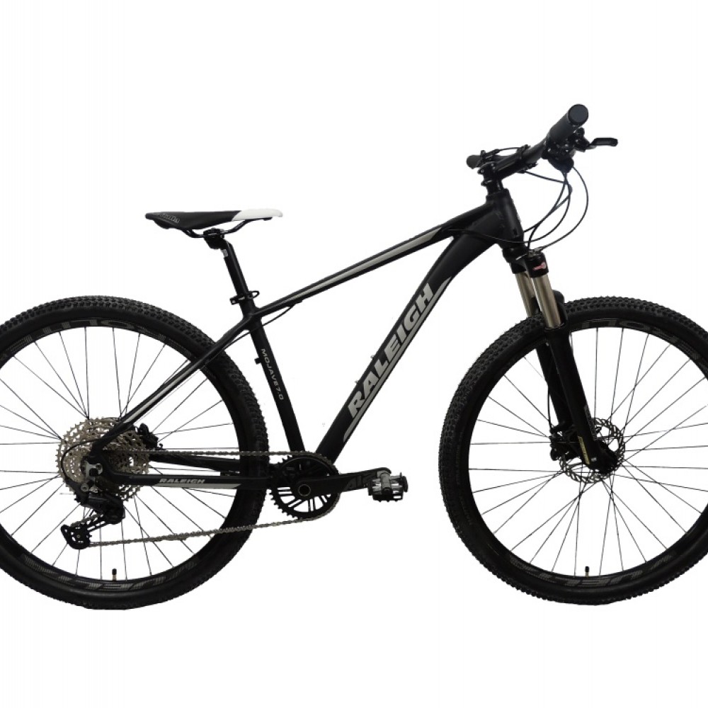 raleigh-70-r29-21-celeste-con-gris-2026